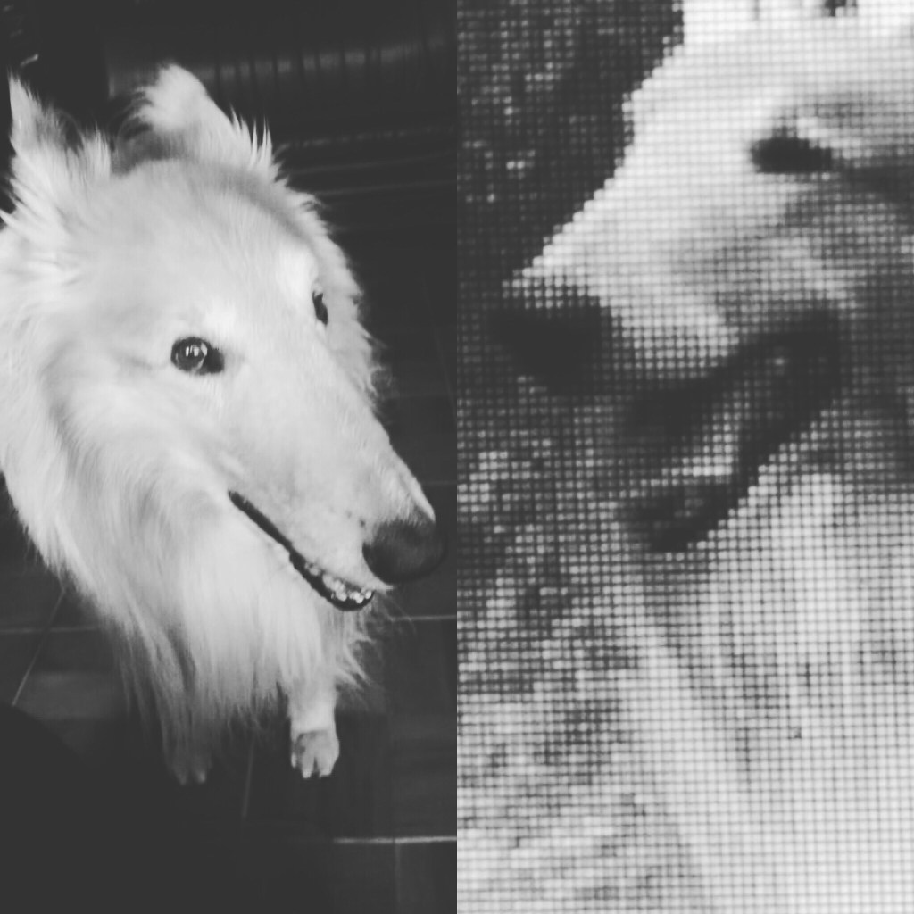 #ExperienciasDeVida: Siempre será difícil decir&nbsp;adiós.