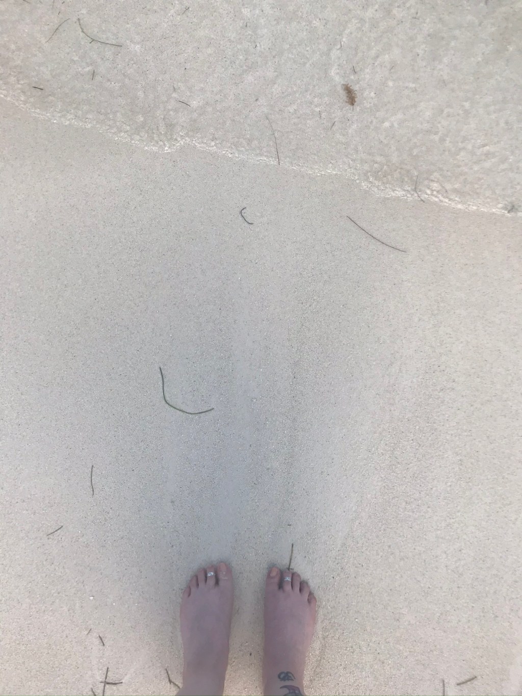 Sentimientos a través de la&nbsp;cuarentena